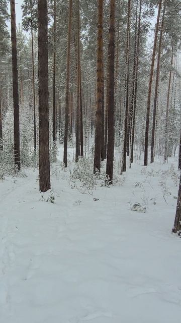 Зимняя стоянка современного человека