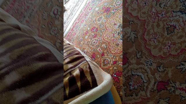 1000002337.mp4