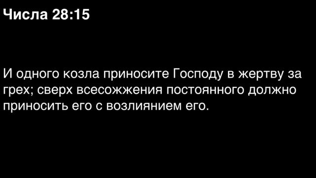 Числа, глава 28