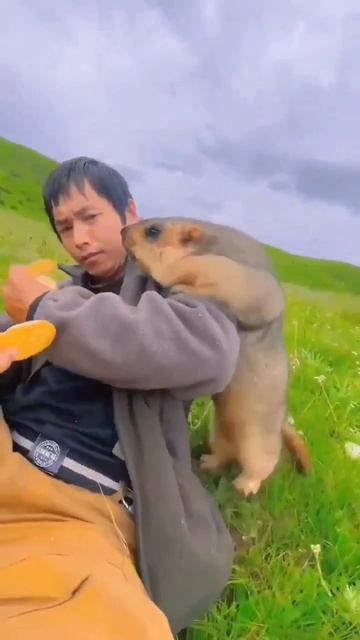 Время кормить сурка #смешныеживотные