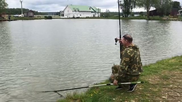 утренние поимки на малом водоёме
