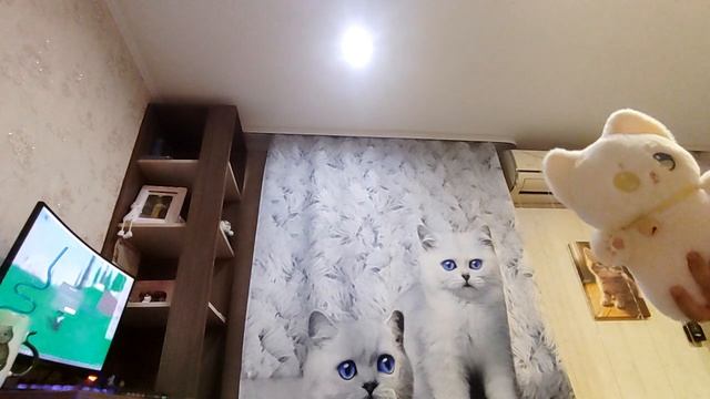 котик поёт