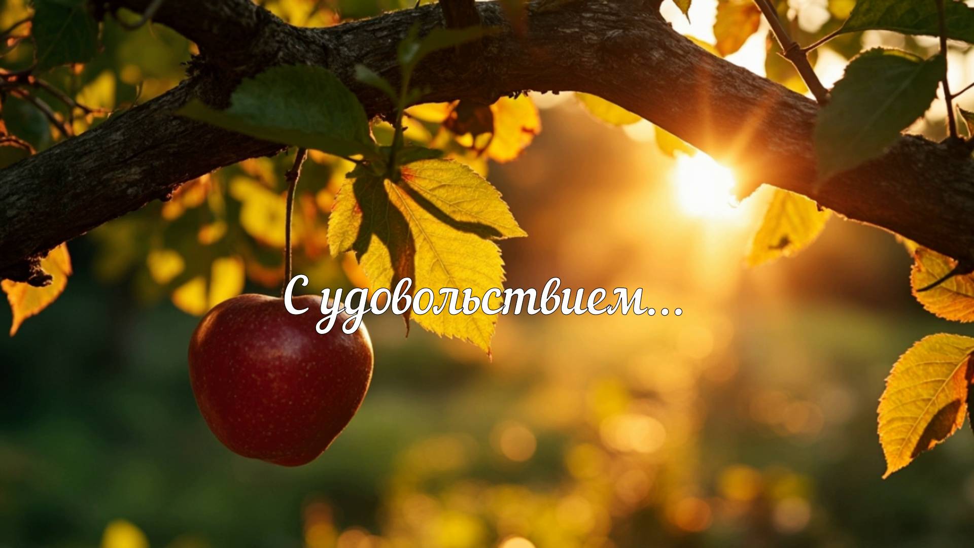 Лайфстайл