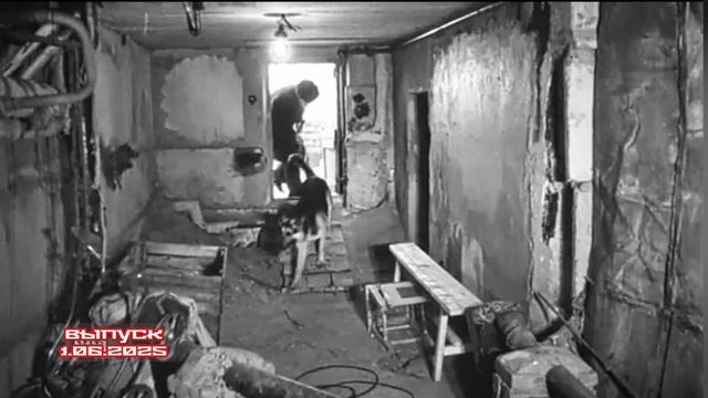 Следствие вели 01.06.2025

1991 год, Ленинград. В подвале жилого дома найдено тело женщины. Несчастн
