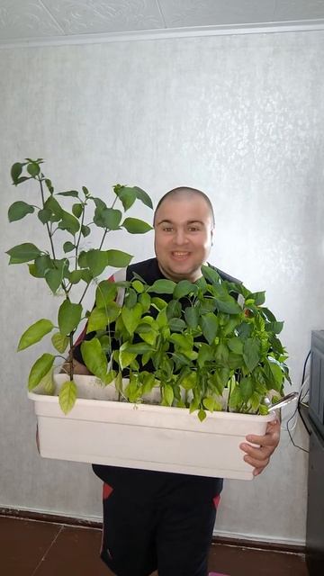 Ну что же ты, моим цветам совсем не рада