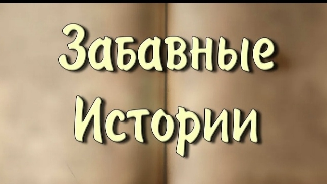 смешные истории