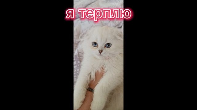 как злится Марго