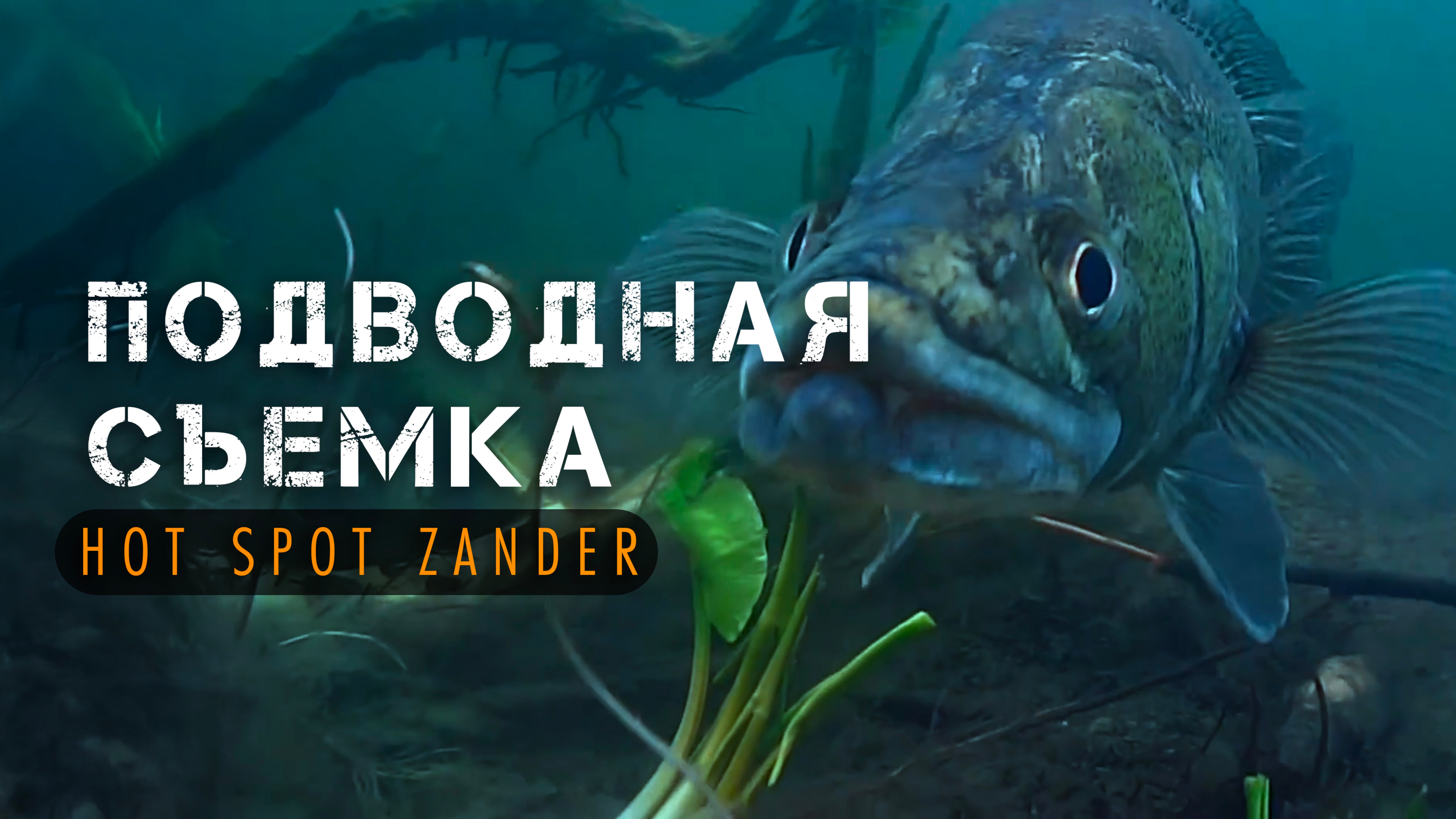 Подводная съёмка турнира по ловле судака - HOT SPOT ZANDER 2 Сезон
