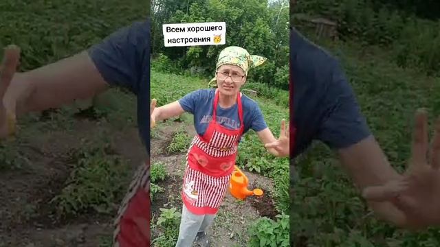 VID-20250601-WA0004.mp4