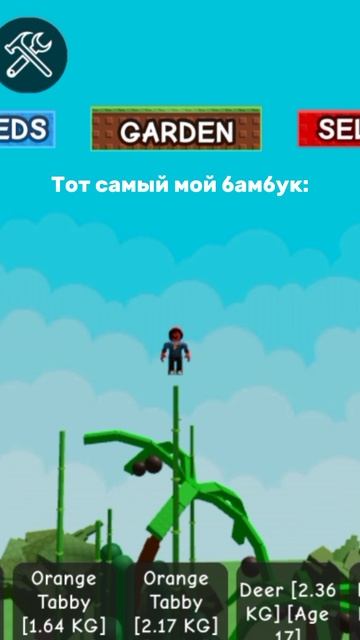 Тот самый мой бамбук: