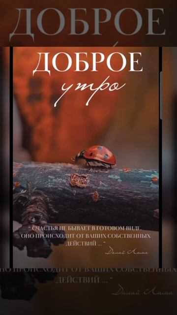 Доброе утро #доброеутро #благодарность