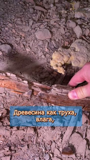 💥 Гнилые балки под ванной | Инженерный демонтаж в мокрой зоне