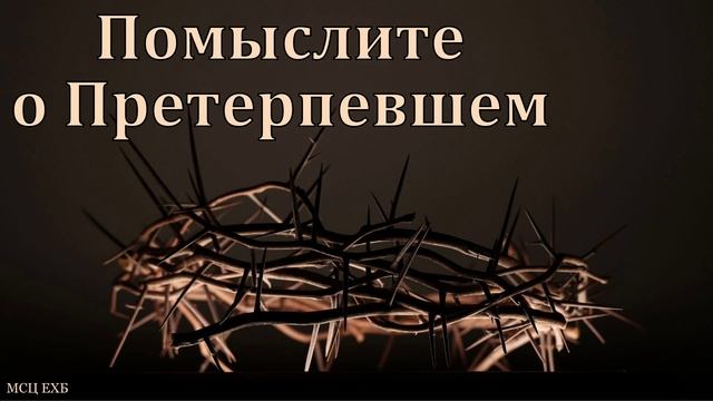 Помыслите о Претерпевшем ❤️ Проповедь МСЦ ЕХБ