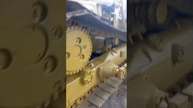 1000056928.mp4
