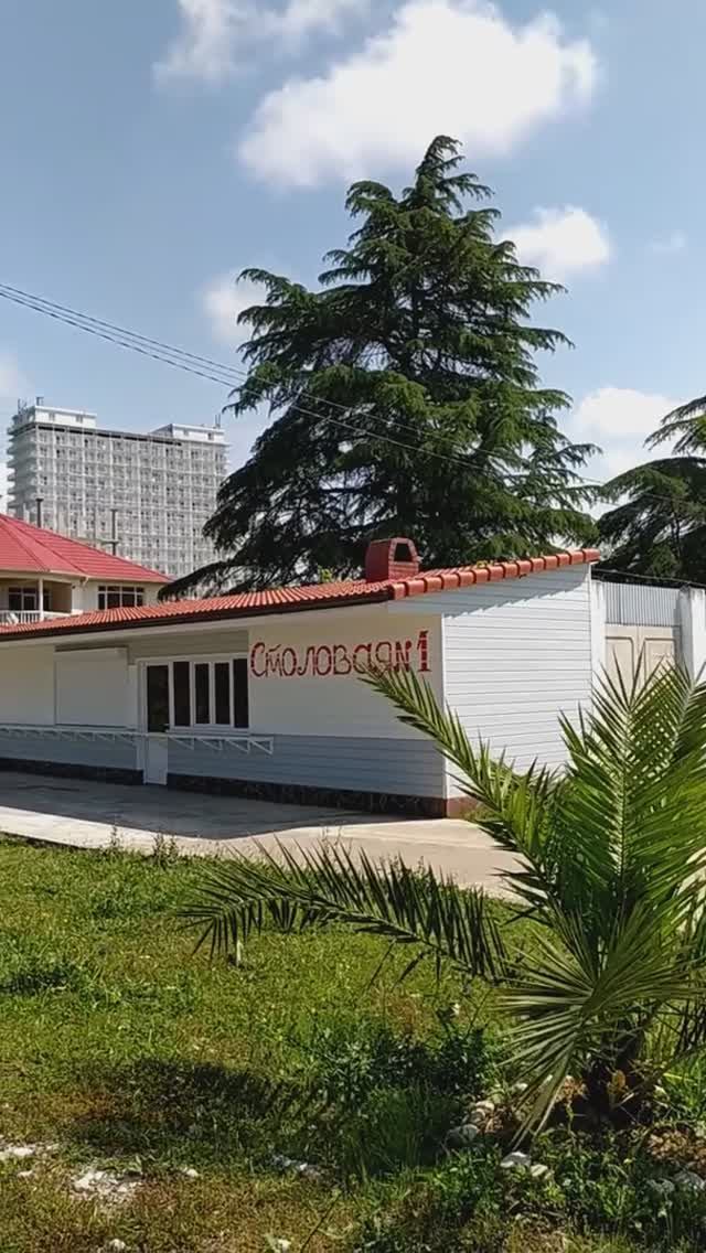 Абхазия, обстановка и погода сегодня днём в Гудауте (1 июня, ЛЕТО-2025)