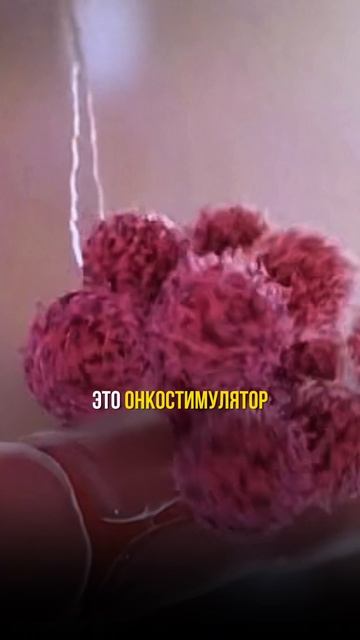 Едите колбасы?