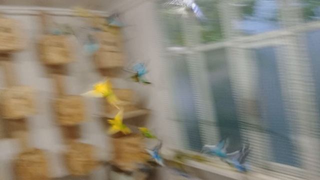 1000004415.mp4