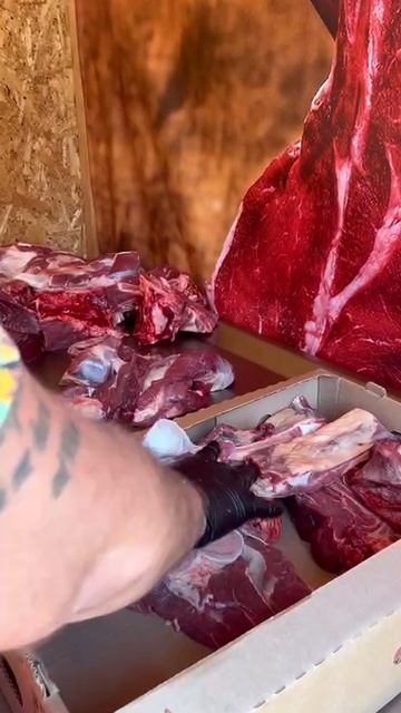 Телятина в наборах из всех частей Новосибирск 


3759141