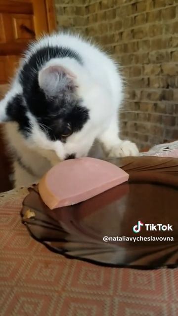 Два кусочка колбаски...)))
