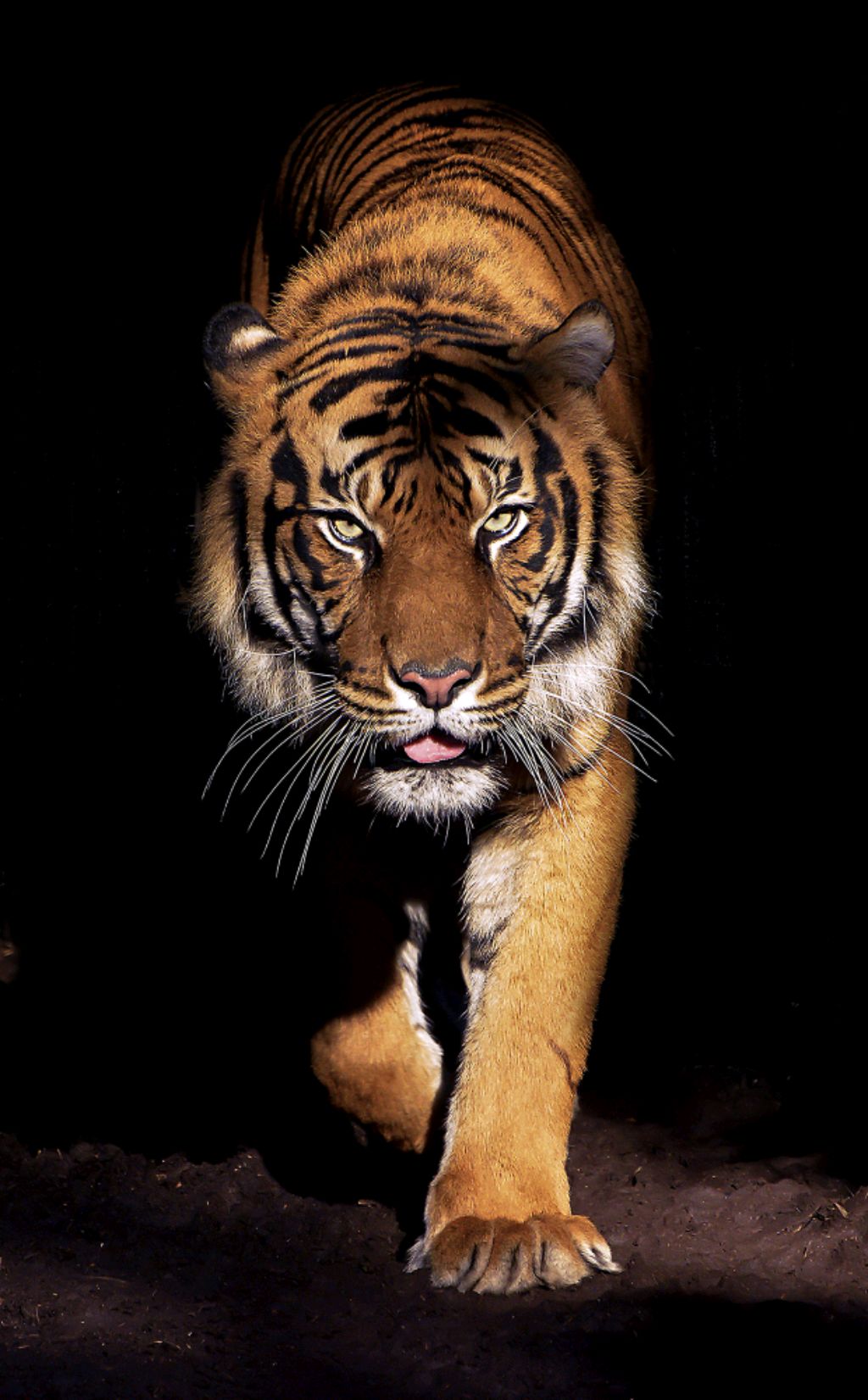 вы управляете мной