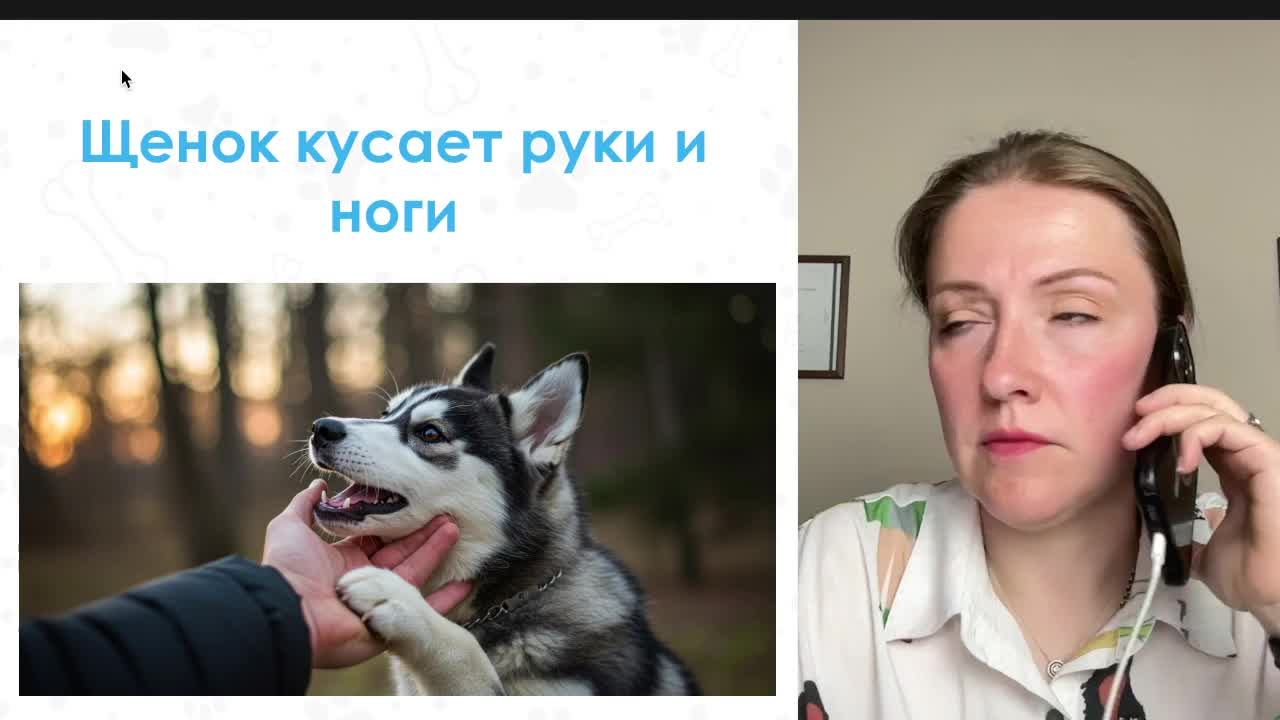Щенок