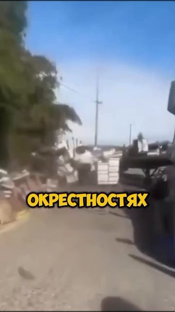 На свободе оказались 250000000 пчёл [OGN]