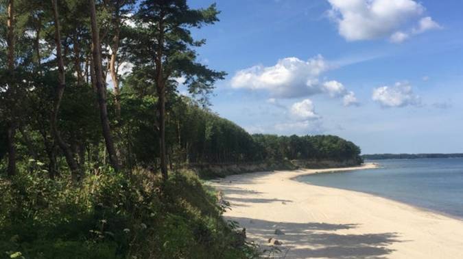 Куликово (Россия, Калининградская область). 🤗 Море, сосны, тишина.