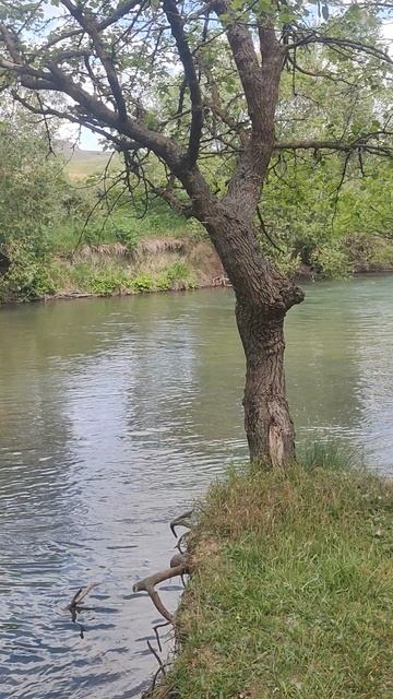 Река Биюк - Кара - Су.
