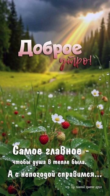 #доброеутро
