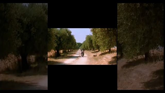 Перевод Анастасия Тороп Итальянский язык Академия Анвила Le barzellette, l'asino (2004)