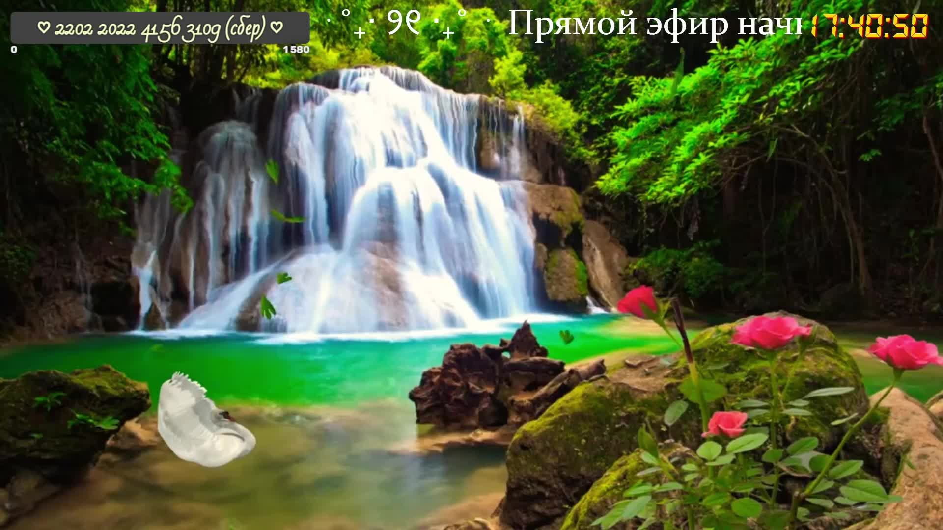 В гостях у Натальи Шитовой (01.06.25)