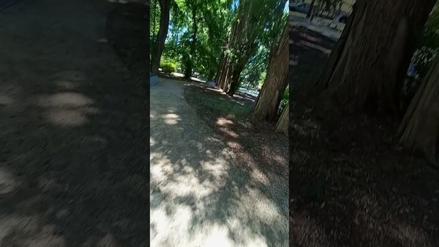 Прятки с друзьями в парке.