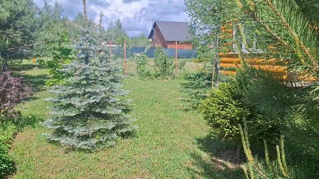 Пересадила растения, готовлю место для свай.