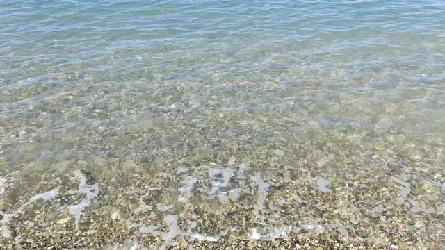 1000108158.mp4