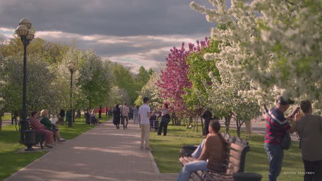 Тюмень Отдых В Городской Природе