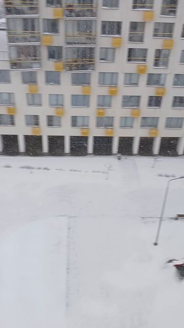 Моё любимое) #моясобака #люблю своюсобаку #апрель2025