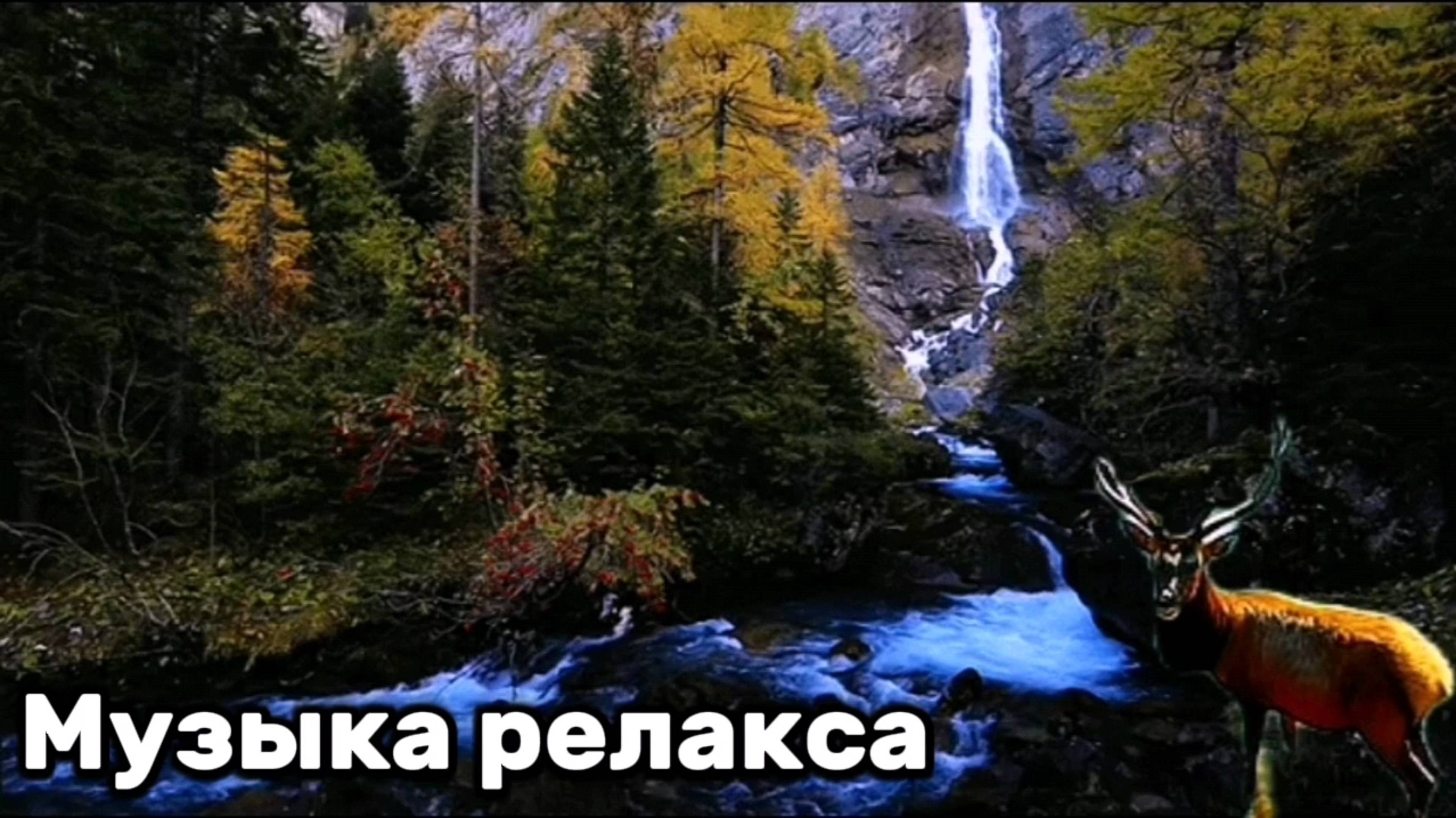 Звуки Ручья и пение птиц для гармонии и релакса вашей души 2025 НОВИНКА