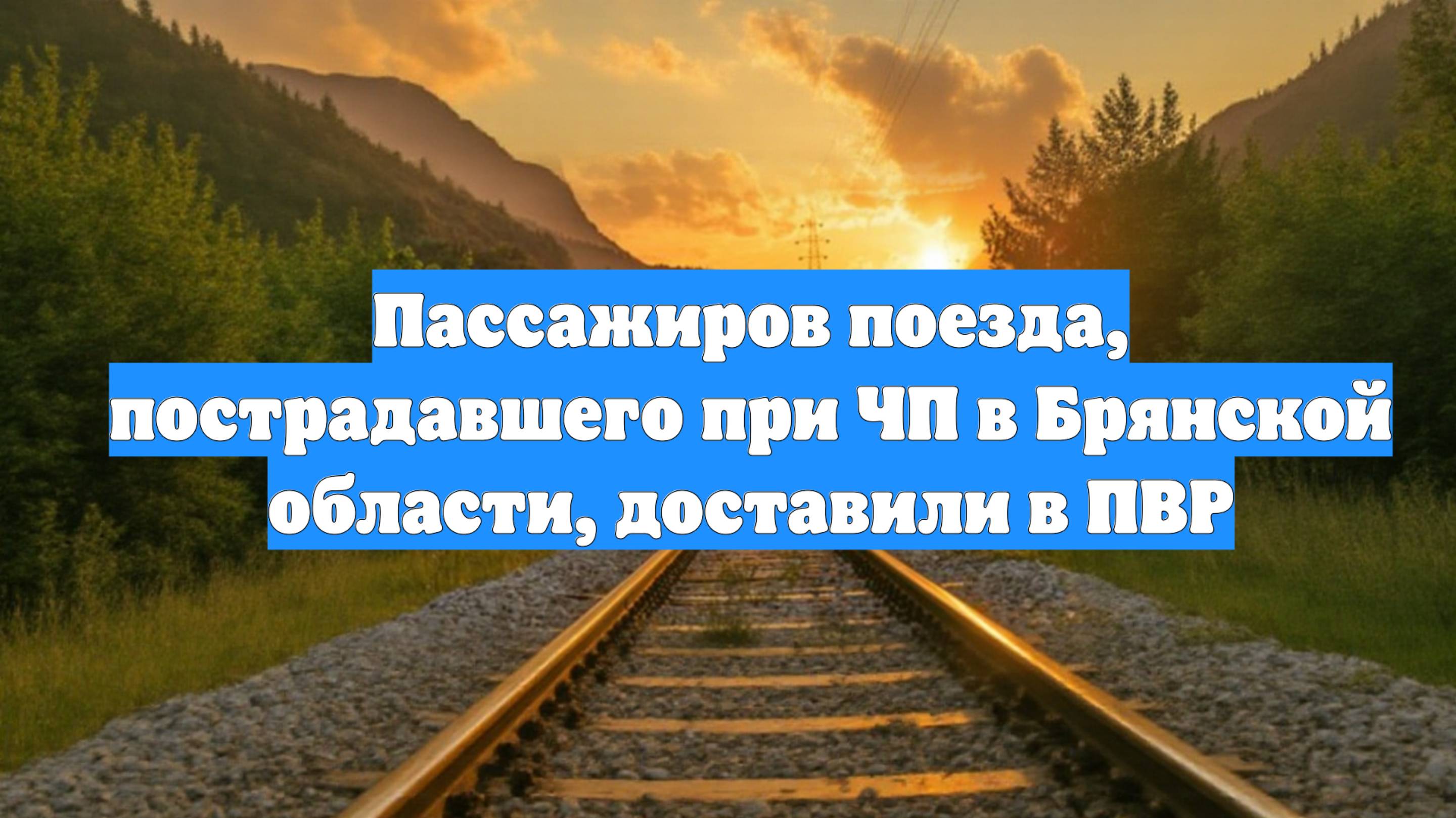 Пассажиров поезда, пострадавшего при ЧП в Брянской области, доставили в ПВР