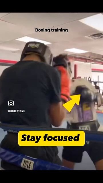 Лучшие нокауты Подпишись и ставь лайк #ufc #mma #youtube #sports #tiktok #shortsvideo #russia #box