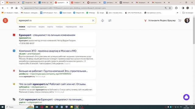Как в описание моего домена egoexpert.ru  попал  телефон из яндекса