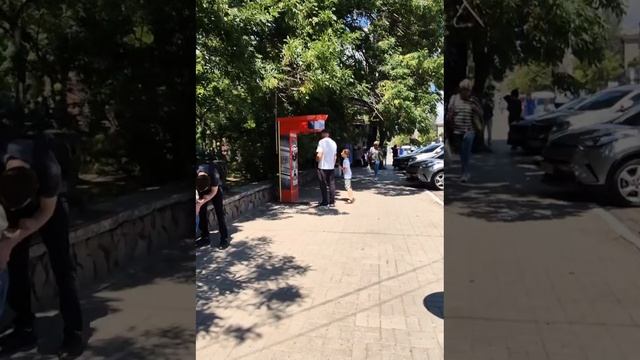 Выставка собак Бердянск 1 июня 2025г