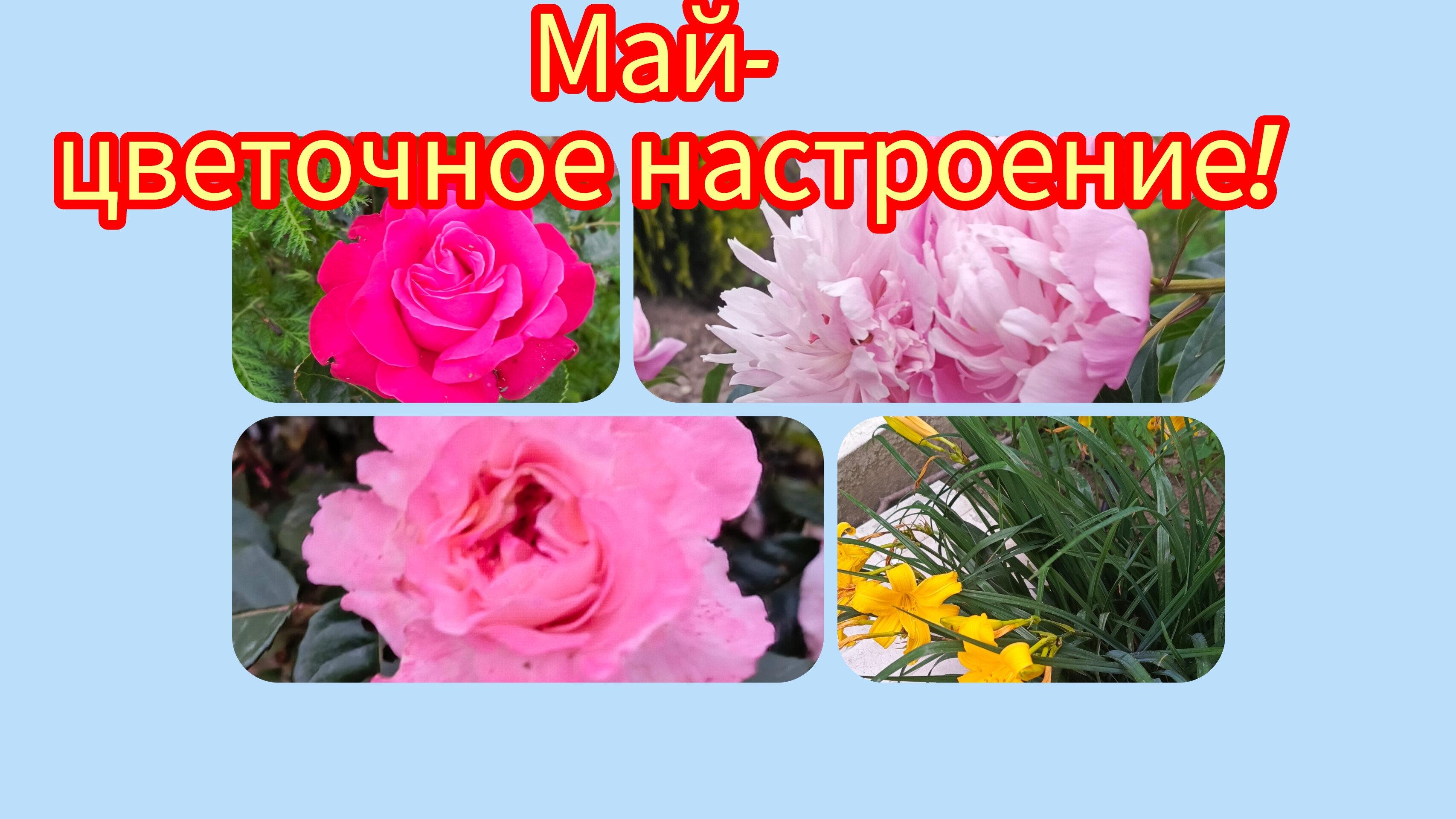 Отчёт за май в СП "Носки 12 месяцев!"