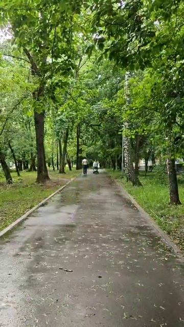 После дождя...