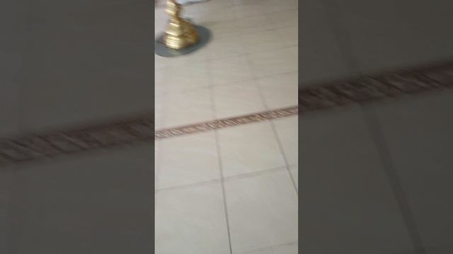за здравие леонида  эдуардовича слуцкого и всех депутатов партии лдпр