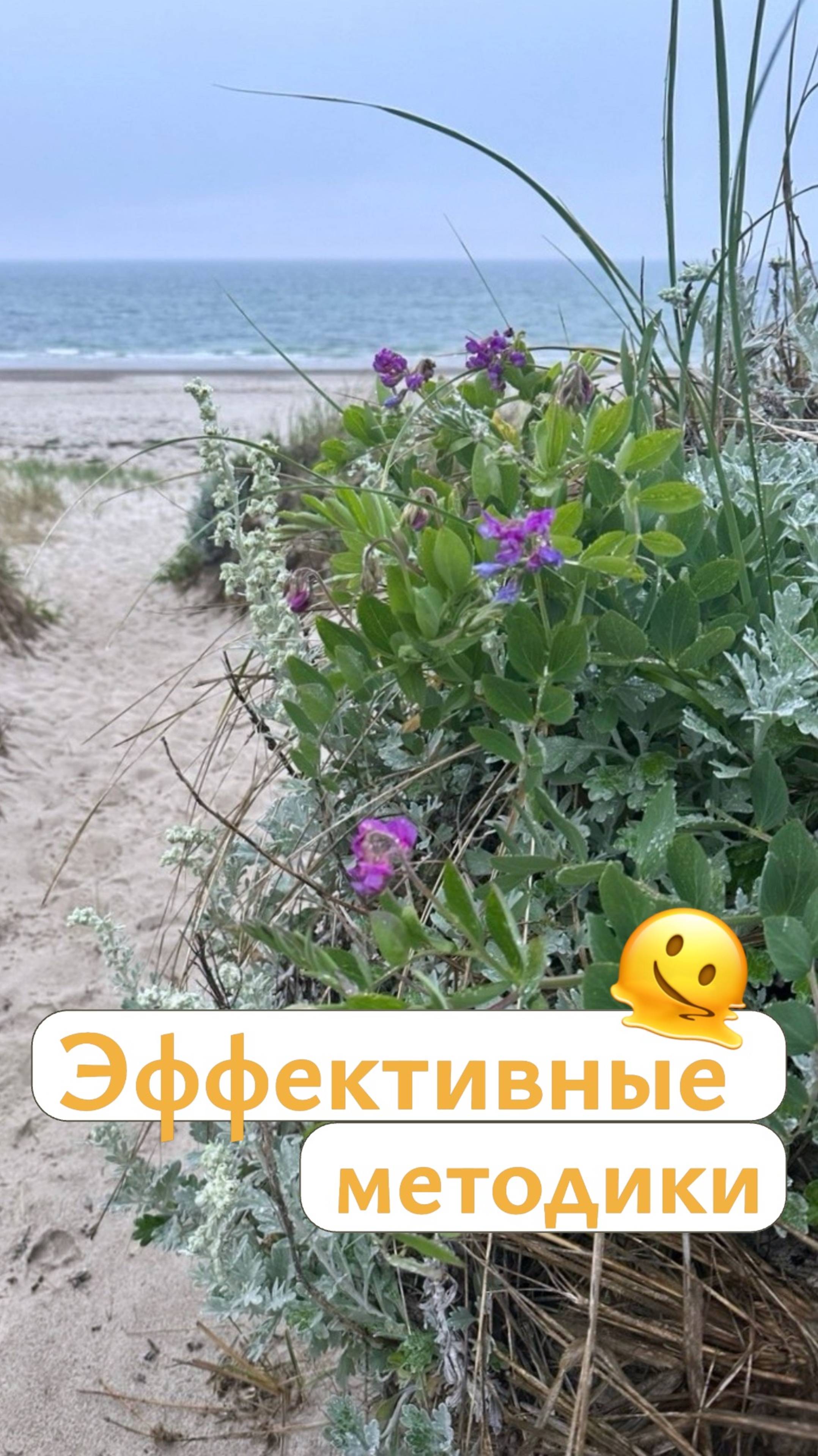 Выбираем эффективную терапию #аутизм #РАС #мелешколя #особенности #abaтерапия #развитиедетей