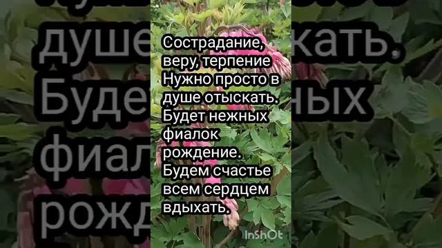 VID_20250601_002053_308.mp4