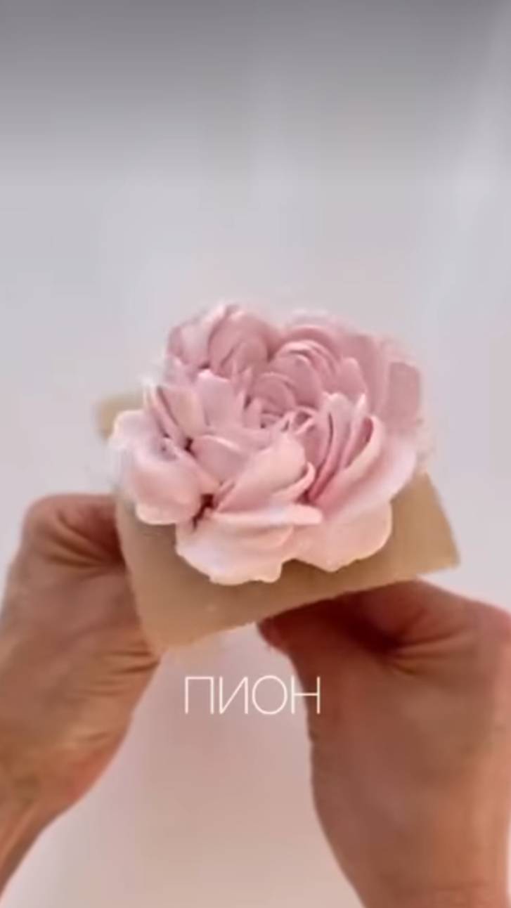 Зефирный пион от Елены Тугановой