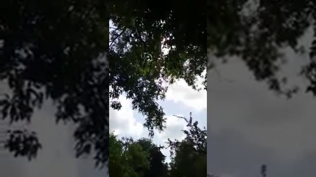 Лето (моё личное стихотворение)