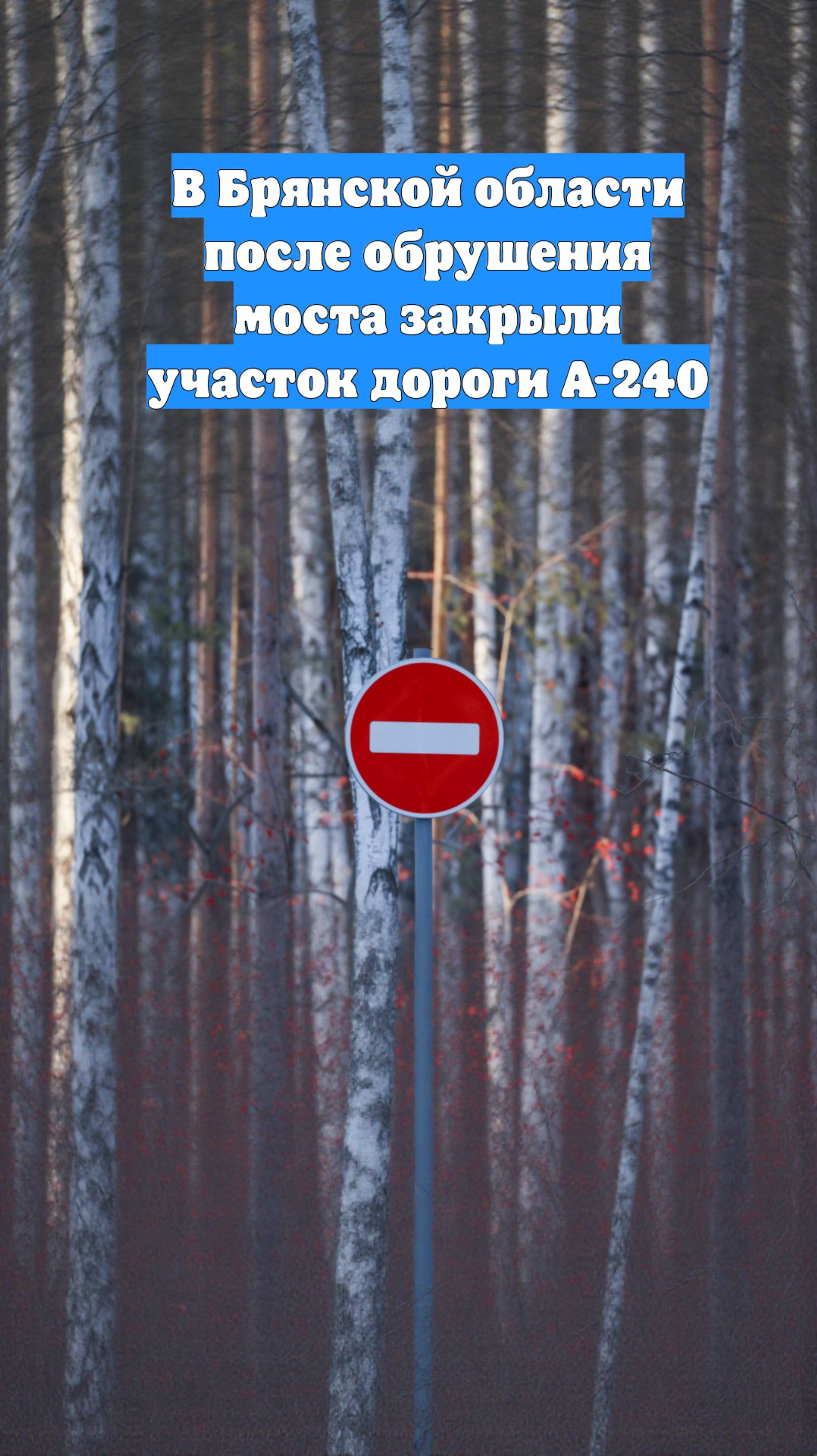 В Брянской области после обрушения моста закрыли участок дороги А-240