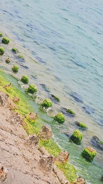 Ну здравствуй лето 2025! Мы ждали долго тебя 🌊🌊🌊